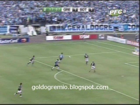 28ª Rodada - Brasileirão 2008 - GRÊMIO 2 X 1 Botafogo