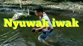 Download lagu Toni belok kiri#golek iwak#sobo kali#berburu#iwak kali#ngevlog mp3