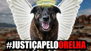 Tiraram a V1DA desse CACH0RR0 POR NADA!