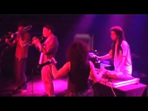 DVD Sound System -   Zion Train - Love Revolutionnaries