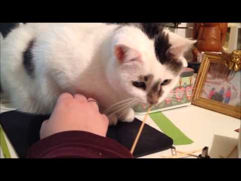 Tinka und die Stricknadel