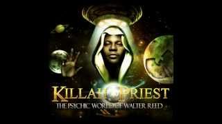 Killah Priest - New Reality