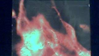 cemetary - caress the damn