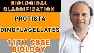 Dinoflagellates, Protista,11 cbse,Biological classification