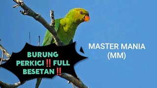 Download lagu BURUNG PERKICI‼️FULL BESETAN‼️ mp3 Download lagu BURUNG PERKICI‼️FULL BESETAN‼️ mp3