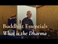 Thich Nhat Hanh on Buddhist Essentials: What is the Dharma