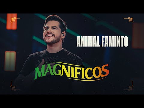 ANIMAL FAMINTO - Banda Magníficos (DVD A Preferida do Brasil)
