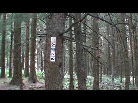Wanderung auf dem hochrhöner - Zum Roten Moor