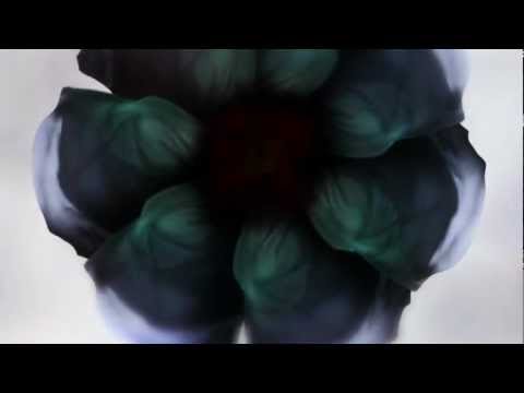 Roni Iron - Flower  ( Deep Art Records )