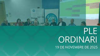 Ple ordinari 19/11/2025