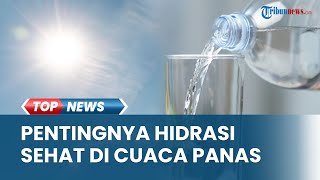 Suhu Panas Ekstrem Masih Berlanjut, Pastikan Tubuh Terhidrasi dengan Air Minum Berkualitas