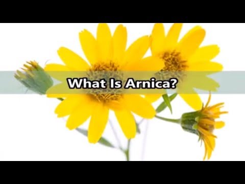 What Is Arnica?- Benefits of Arnica- Arnica Montana