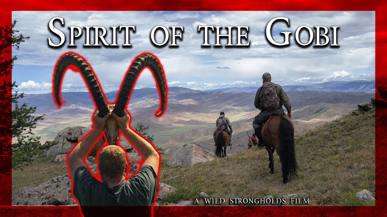 Gobi Ibex - Spirit of the Gobi - A Wild Strongholds Film - 4K