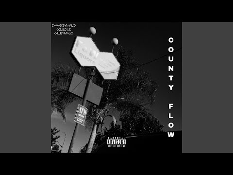 COUNTY FLOW (feat. DAWGGYMALO & LILDUB32)