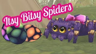 SSO - All Spiders Eastern Epona