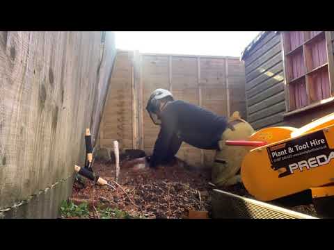 Branching Out - Tree Work & Hedge Cutting video.