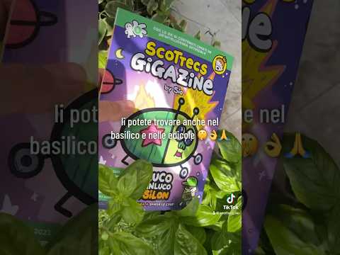 A caccia di BRUCHI🐛❤️✨