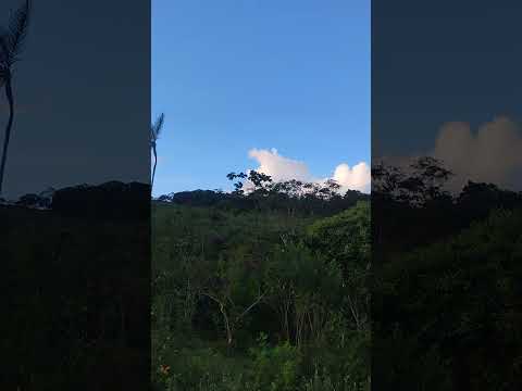 Uribe (Meta). Llanos Orientales. En la finca. m.@.@🦇