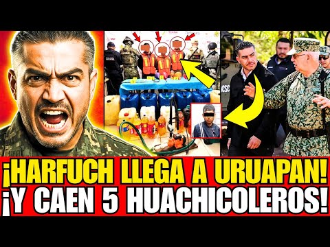 ¡HARFUCH LLEGA A URUAPAN Y REVIENTA CÉLULA DE HUACHICOLEROS: 