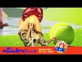 Sia Performs Hey Boy Movie TV Awards Greatest Of All Time