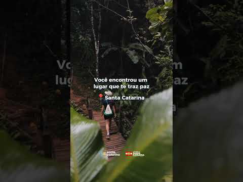 Santa Catarina: O Lugar que Traz Paz 🌿💛  #santacatarina #turismo #descubrasc #sc #viajar