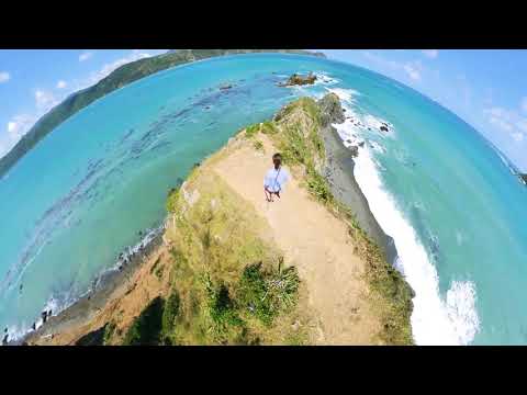 How epic is this walkway in Seatoun?