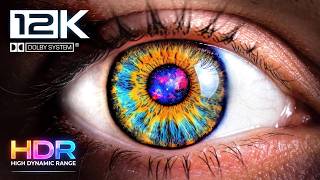 TV 12K HDR 60FPS – Extreme Display Test (OLED / QLED / Pro Display XDR)