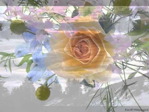 Mandingo "acostumbrado a ti.