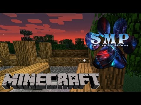 Let's Play Minecraft: SMP: #031 Neues am Spawn