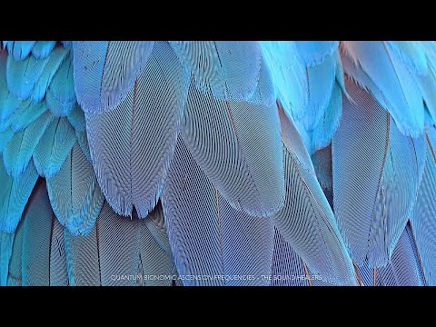 Awakening Cellular Consciousness ✔ 26TH Dimension Spiritual Gateway ✔ Higher Self Realization ✔