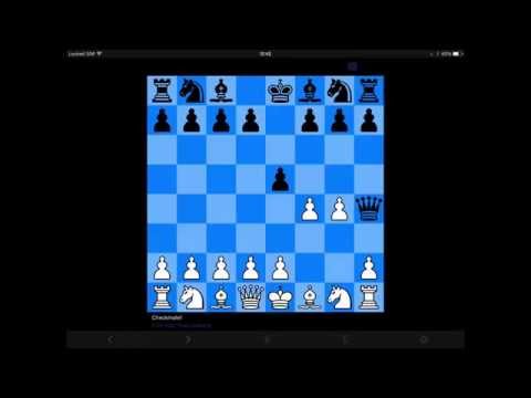 Not Mato Jelic: Famous Parrots Game, Amsterdam 2015