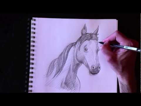 comment colorier un cheval