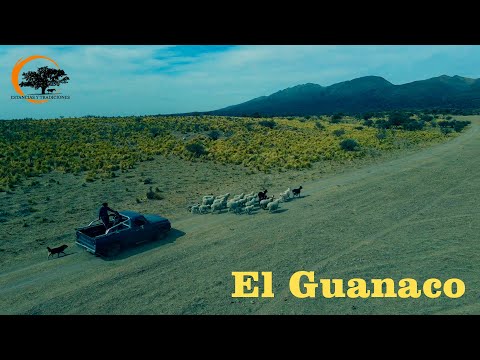 162 Paraje El Guanaco - Estancias y Tradiciones