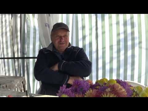 Interviu columbofil dl Dr Adrian Craciunescu Prahova Romania 13 nov 2021 part 3