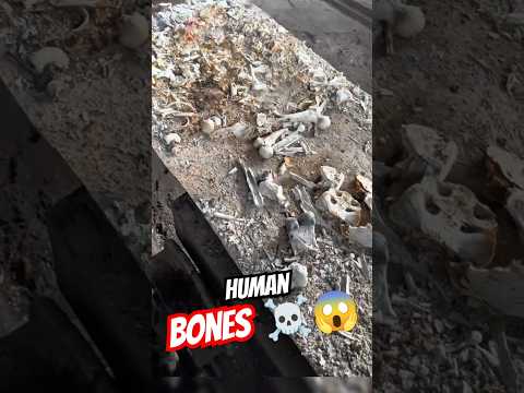 Inside the Cremation Chamber 🔥☠️ #wonderclips