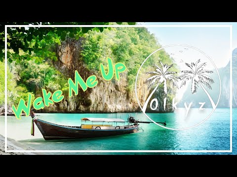 OLKYZ - Wake Me Up ft. WithoutMyArmor (Lyrics Video)