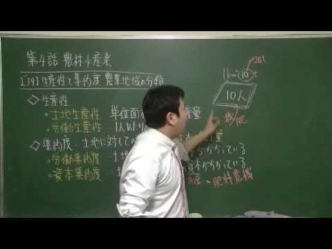 地理的集約 - 定義