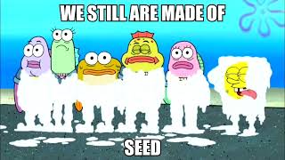 Cover art for kingdom coem