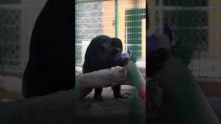 Últimos días de vacaciones, ¡ven al Nuevo Wamerú!