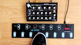 Video thumbnail for 12 Step | Moog Based Sounds on a C Scale with 1, 4, 5 Chord Change by Muse Kinetics