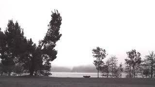 A STAR IS BORN - Too Far Gone (Lyrics Video) | Bradley Cooper &amp; Lady Gaga