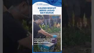 Misteri Kaleng Biskuit Berisi Jasad Bayi di Parepare, Warga Geger Bau Busuk, Siapa Pelakunya?
