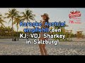 Ana Lane - Sommer, Sonne, Sonnenschein (Lyrics Version 2026) HD 100+ Untertitel! Text!