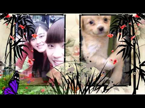 If We Hold On Together-Diana Ross