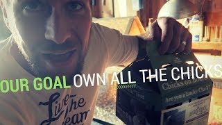 Whoops! (Heartland Hatchery Chick Days)