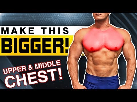 Muscular Strenght Title