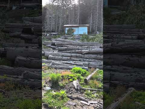 Deforestación en Alto Manzano, Villa La Angostura, Neuquén, Patagonia, Argentina