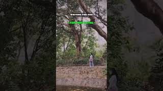 Download lagu RIGHT HERE WAITING #music #musicvideo #MusicVibes mp3 Download lagu RIGHT HERE WAITING #music #musicvideo #MusicVibes mp3