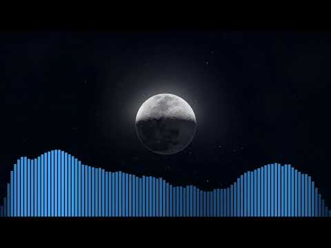 05. ACE - PYLNOLUNIE (Prod. by SHIZO)