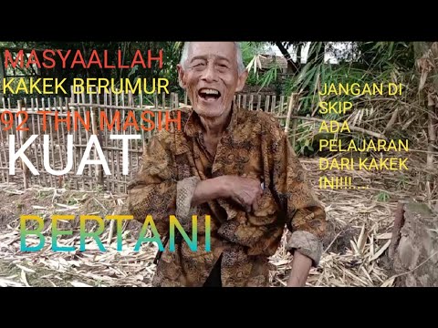 Masya Allah kuat banget kakek berumur 92 th masih kuat utk bertani